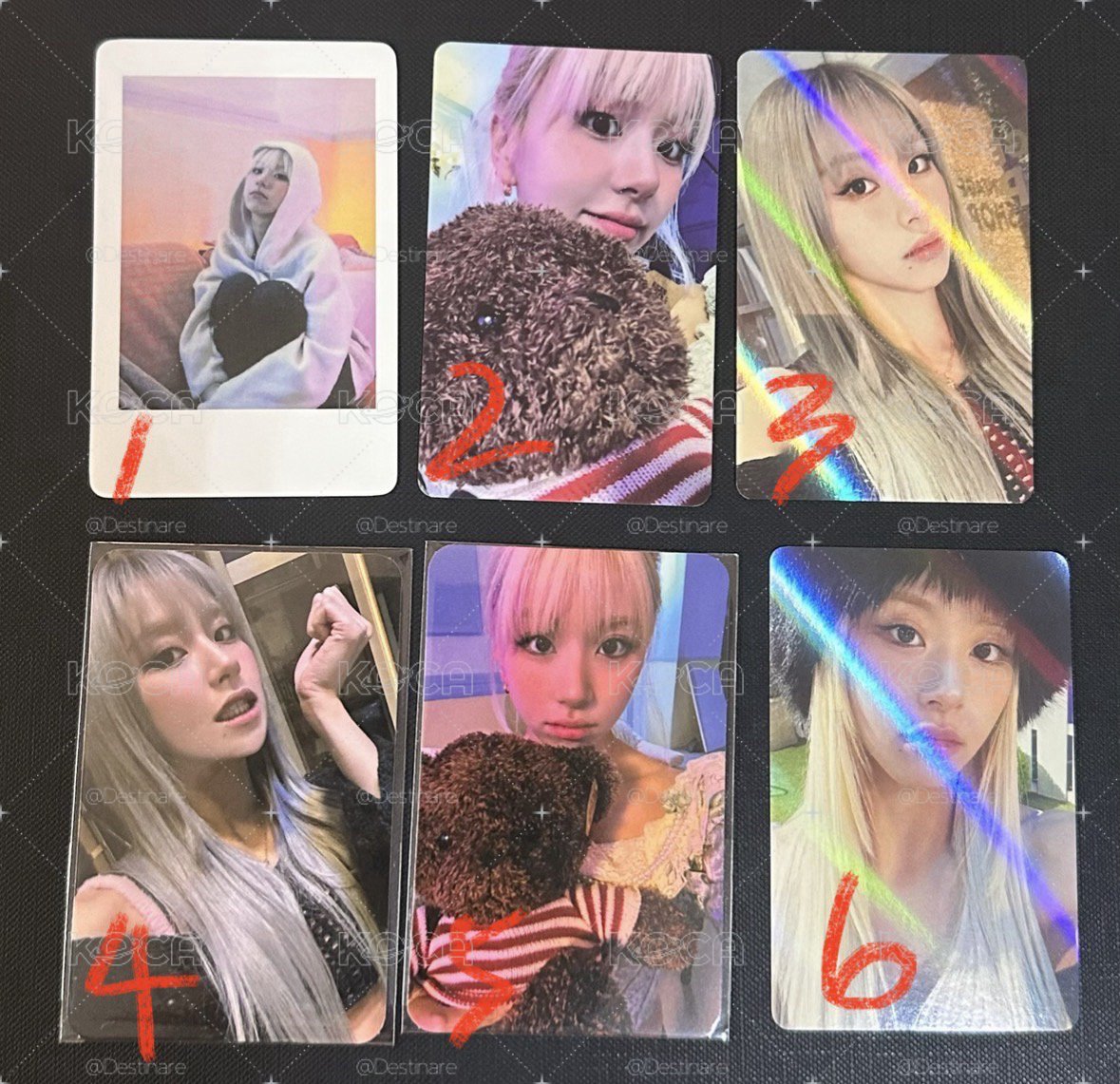 rtb 彩瑛特典