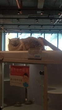 CC567