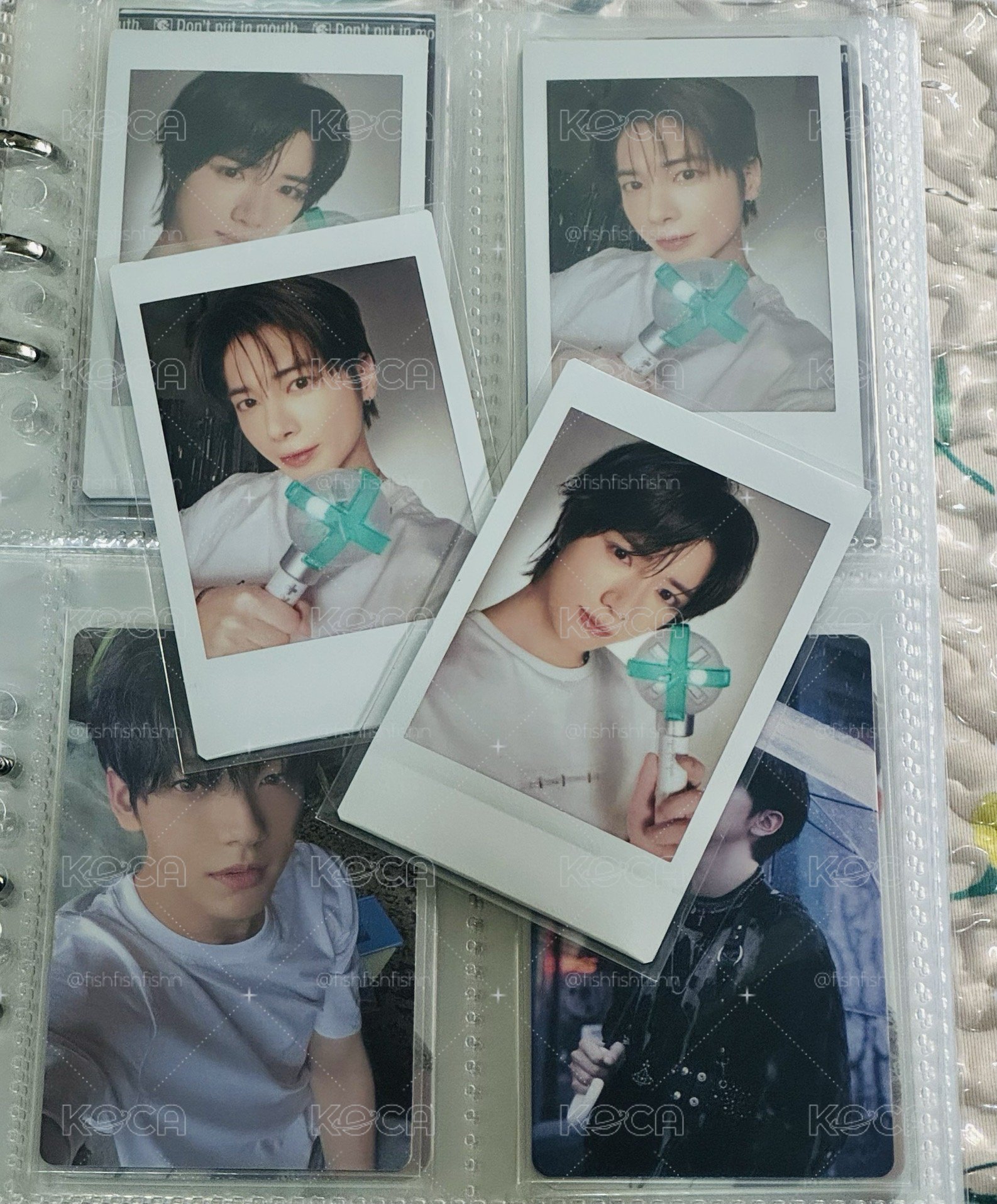 𓈒⚬𓏸○◌ TXT ◌○𓏸⚬𓈒 MOA CON日巡隨機拍立得🐻+🐱