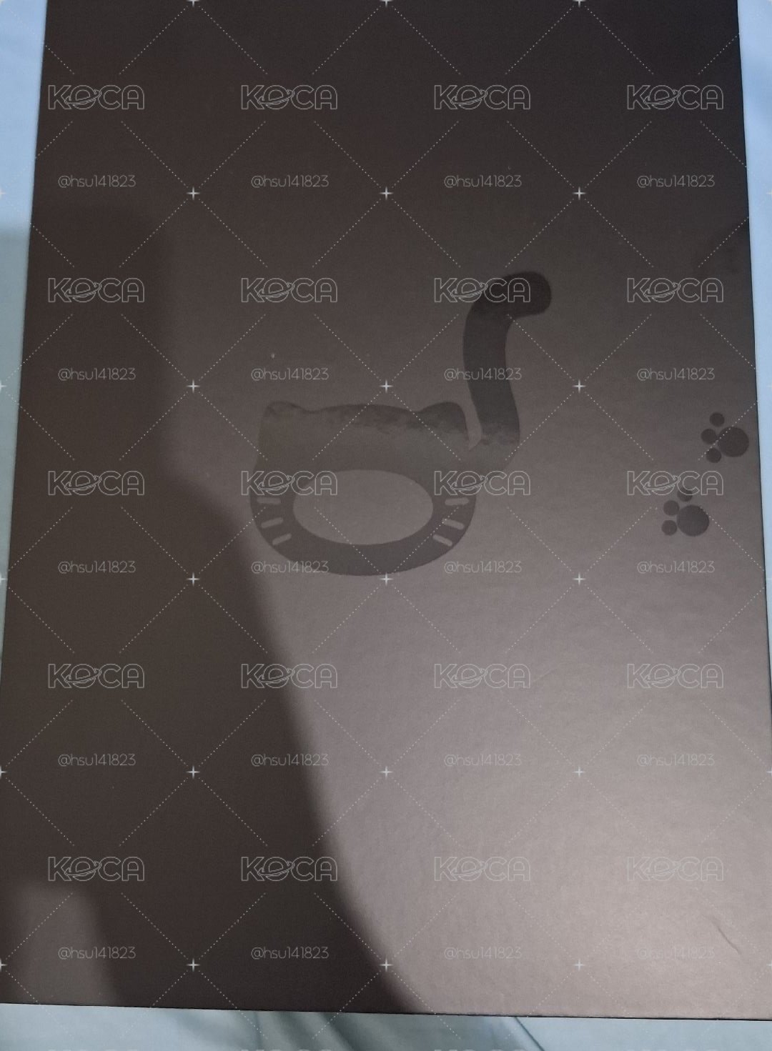 meovv手燈 含tbl特典