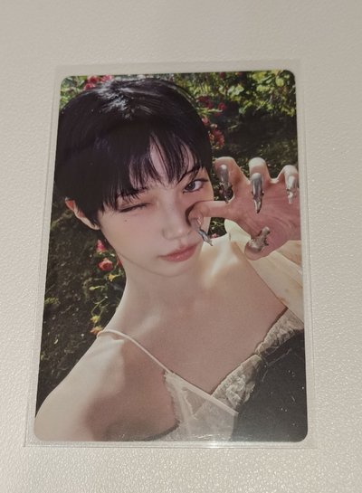 中村一葉專輯小卡