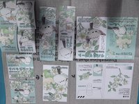 鳥兒