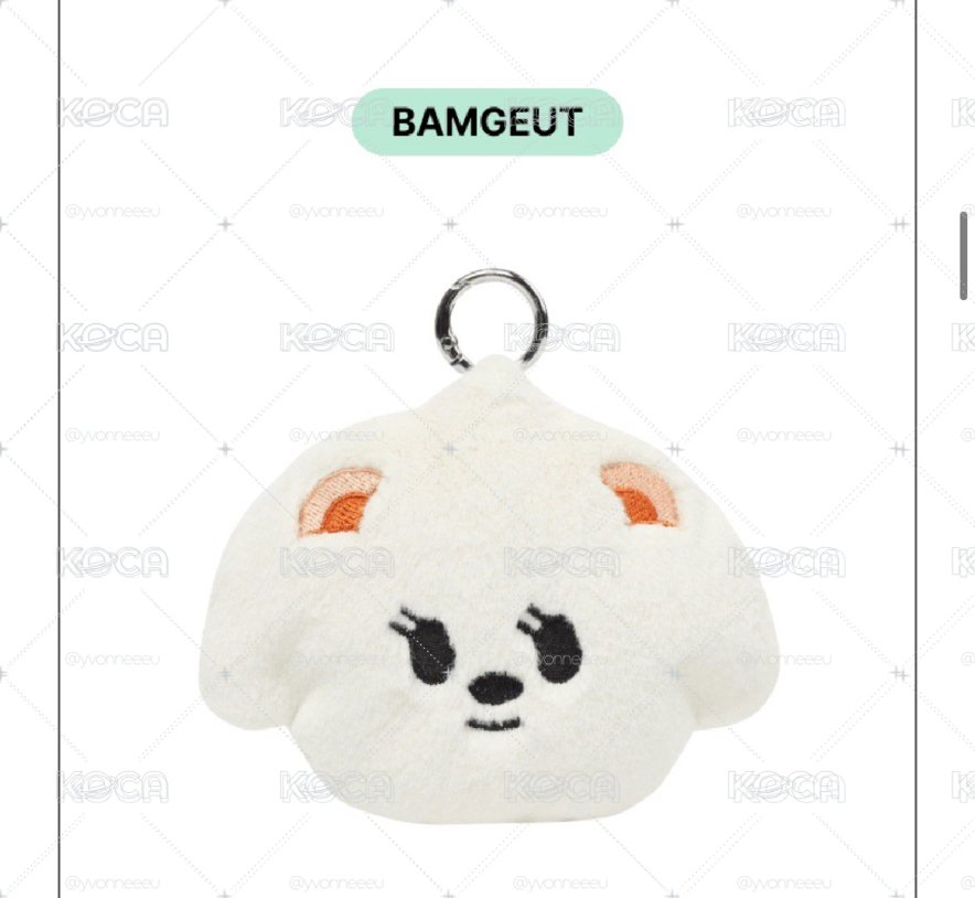 🐻🐈‍⬛ 零錢包 𝜗𝜚˚⋆