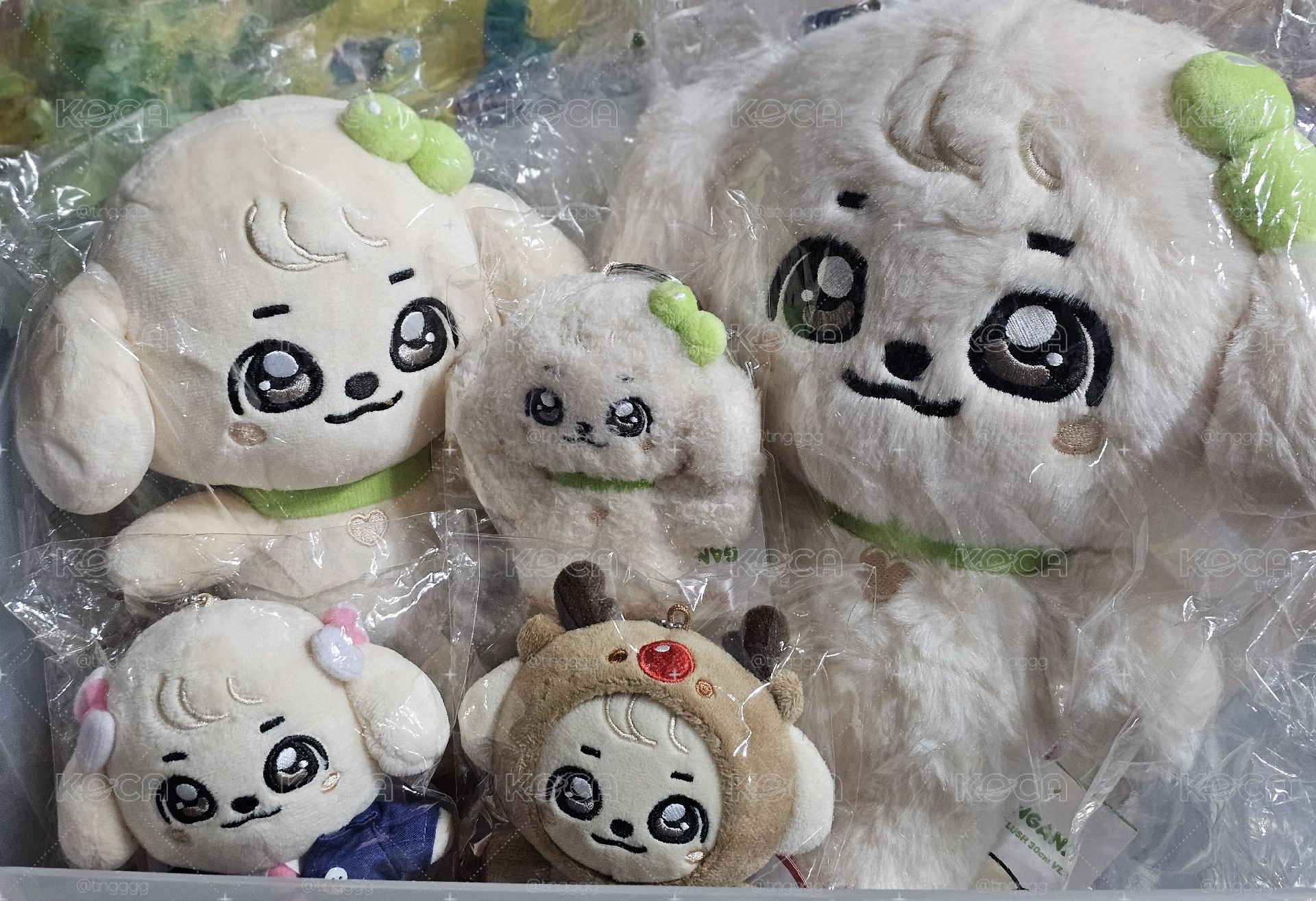 安狗勾領養