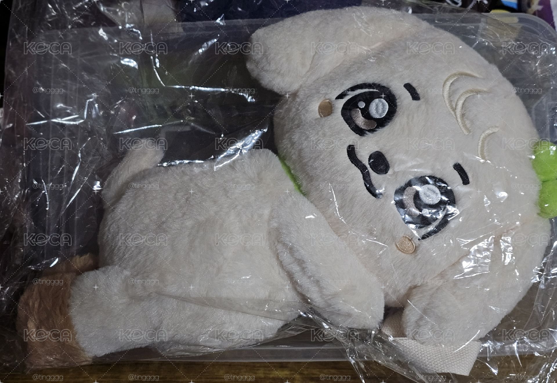 安狗勾領養
