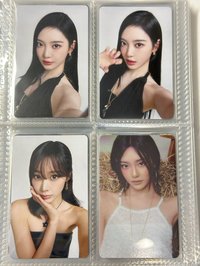 貓抓寧