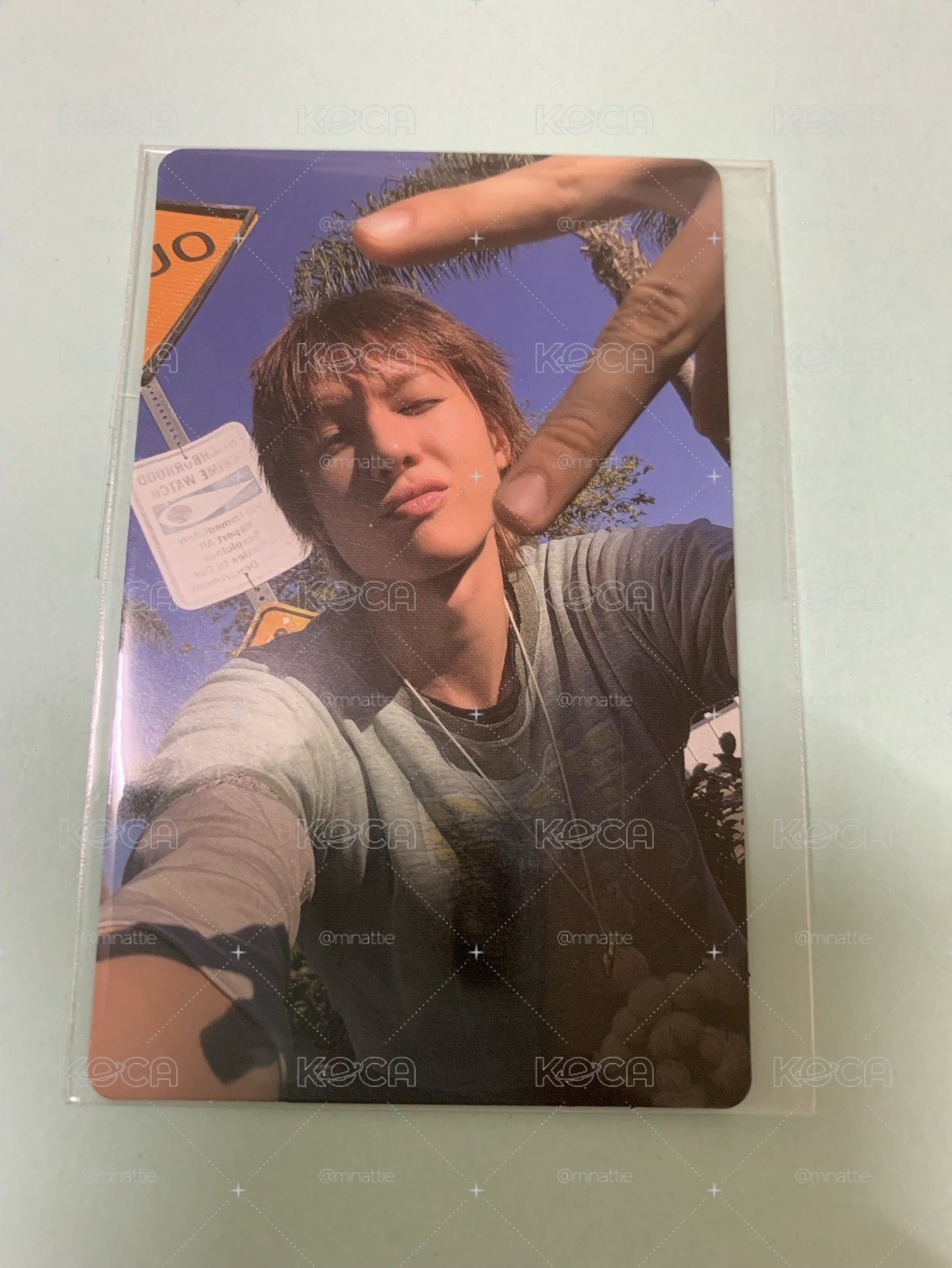 WVS幸運卡~帥氣小馬🕶️