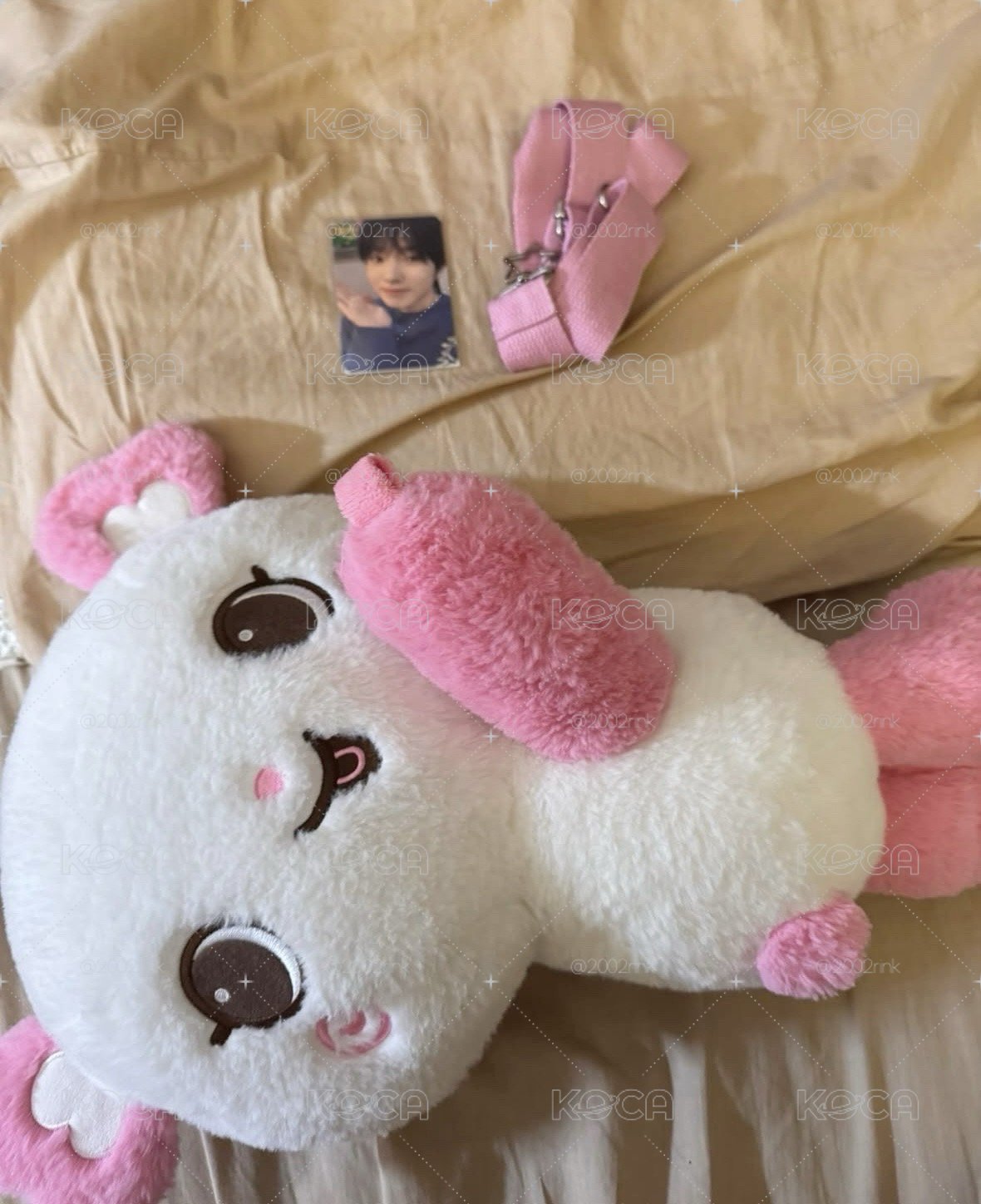 sakupang 大娃包整組🐼