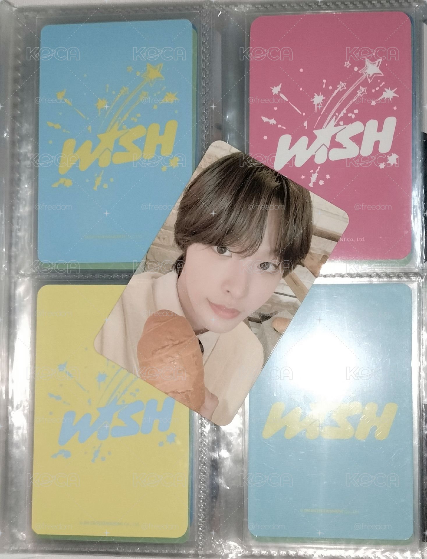 🐈‍⬛陸 超早期🐹🥖~