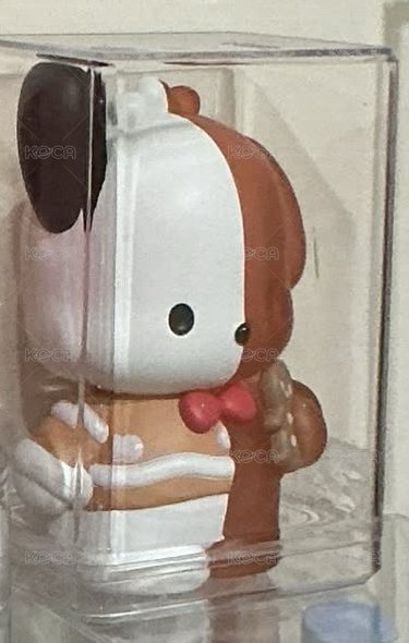 雙色帕恰狗