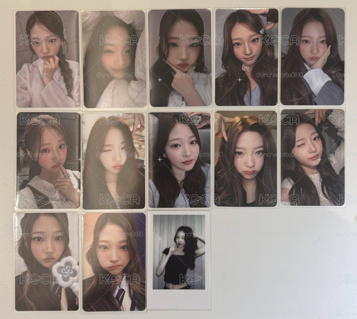 h2h主stella小盤