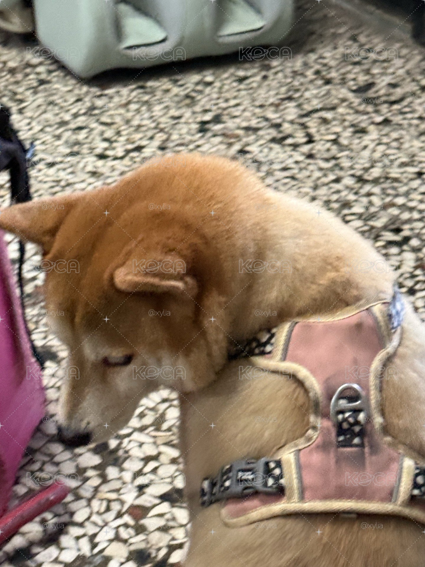 沒照片所以隨便放。是BND福袋喔
