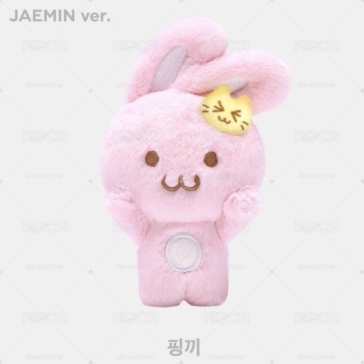 nct dream jaemin 渽民 reniun 仁俊 夢秀3娃 快閃娃 dreamy娃
