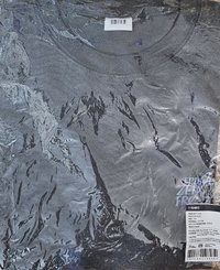 世巡快閃暗灰星雲短T free size