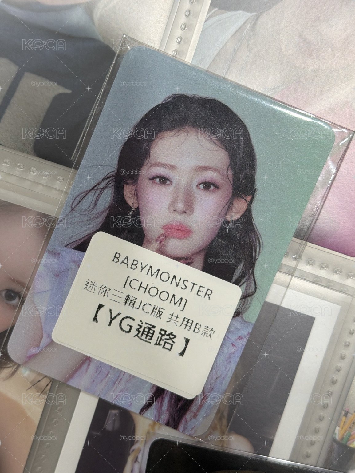 特典茶