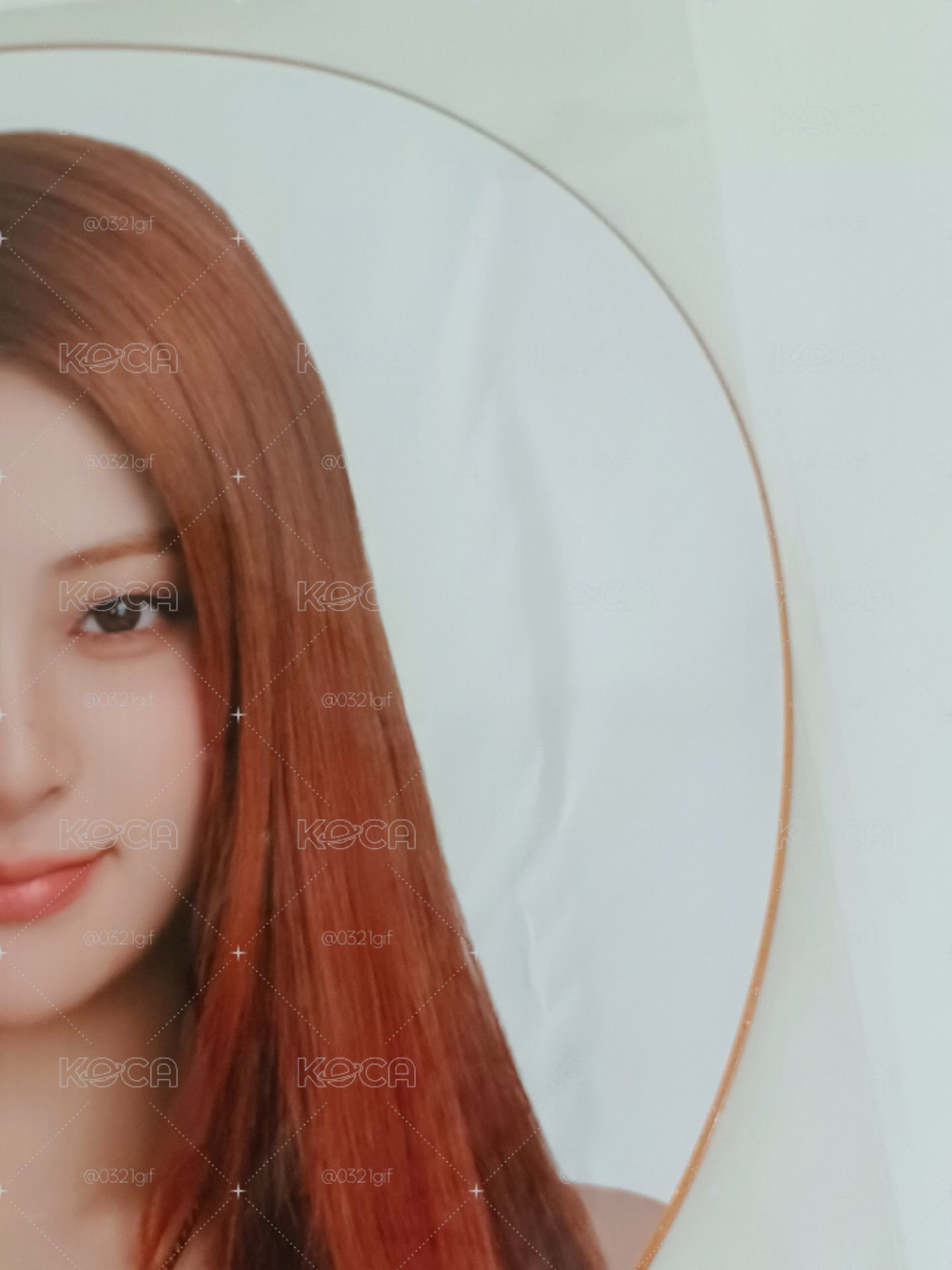 允真大王扇