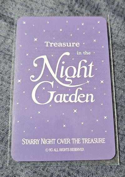 TREASURE in the NIGHT GARDEN YOSHI🐯