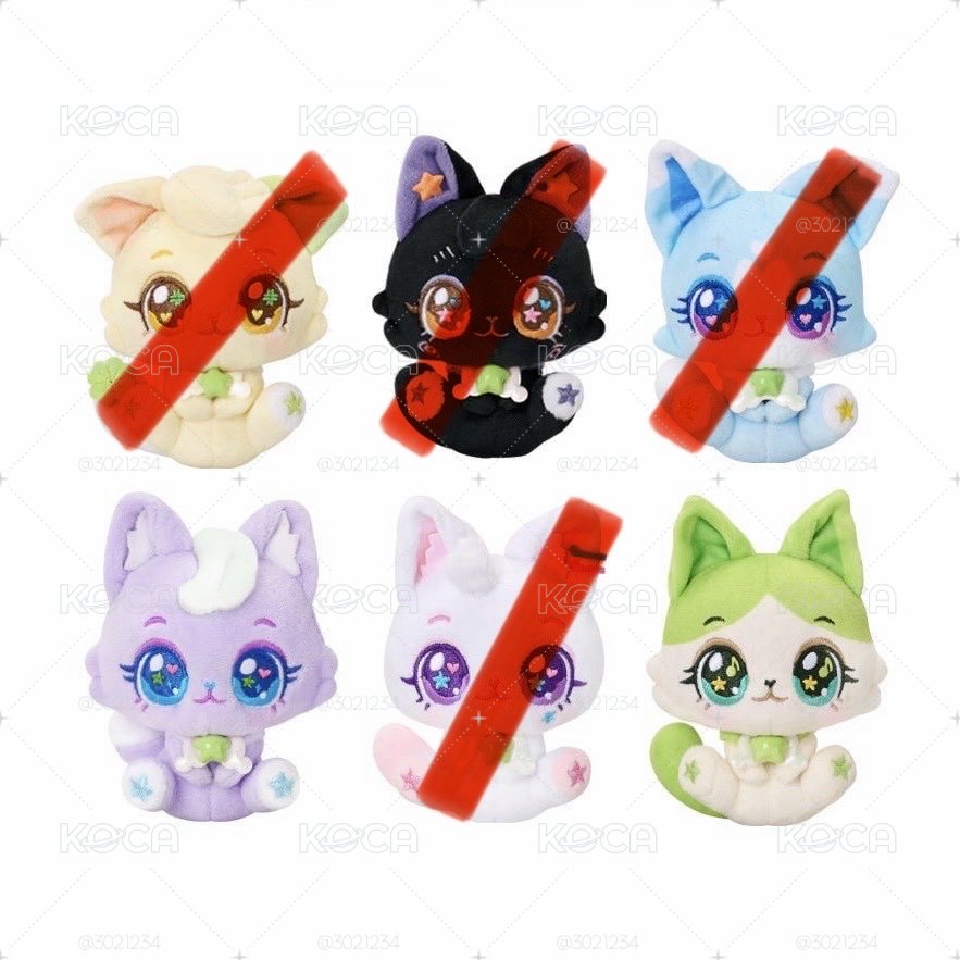 wishcat 是溫+栽禧（專拍勿下