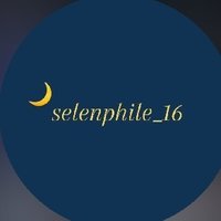 追星選物 ｜ 小卡周邊收納 🌙