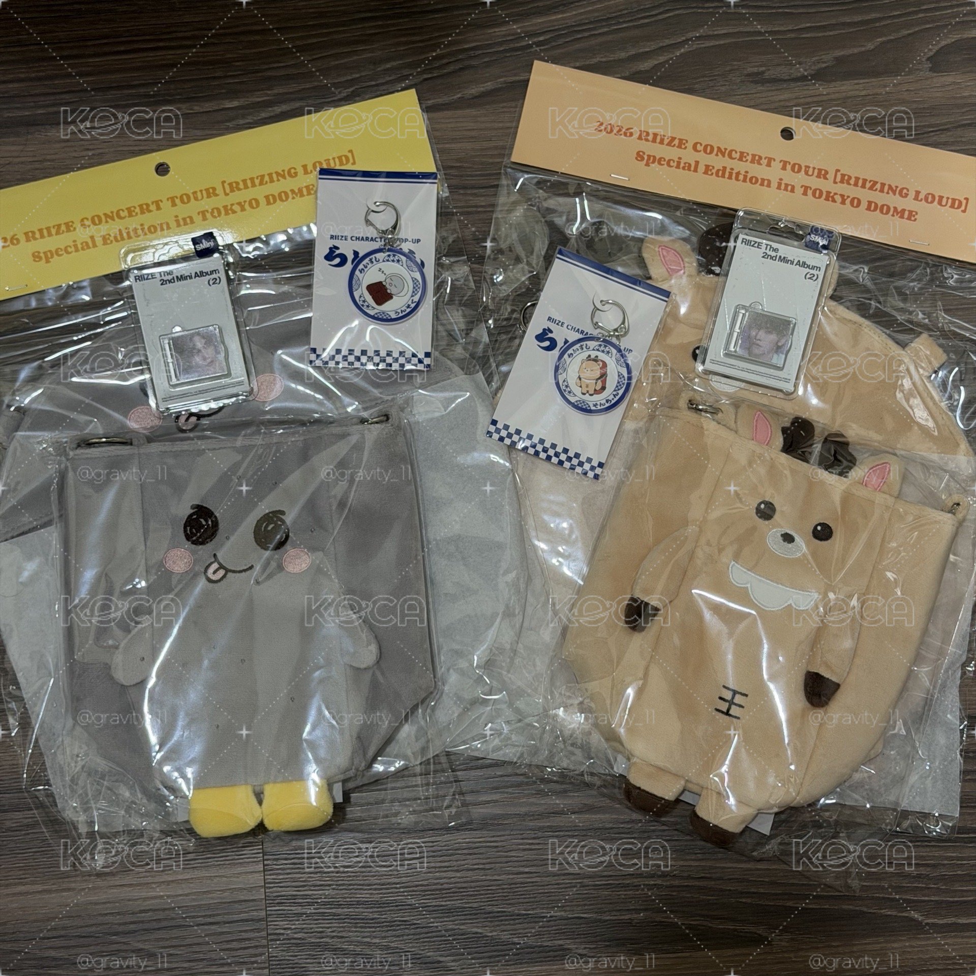 【原價扇套+手燈包 周邊set】成燦 恩奭 現貨