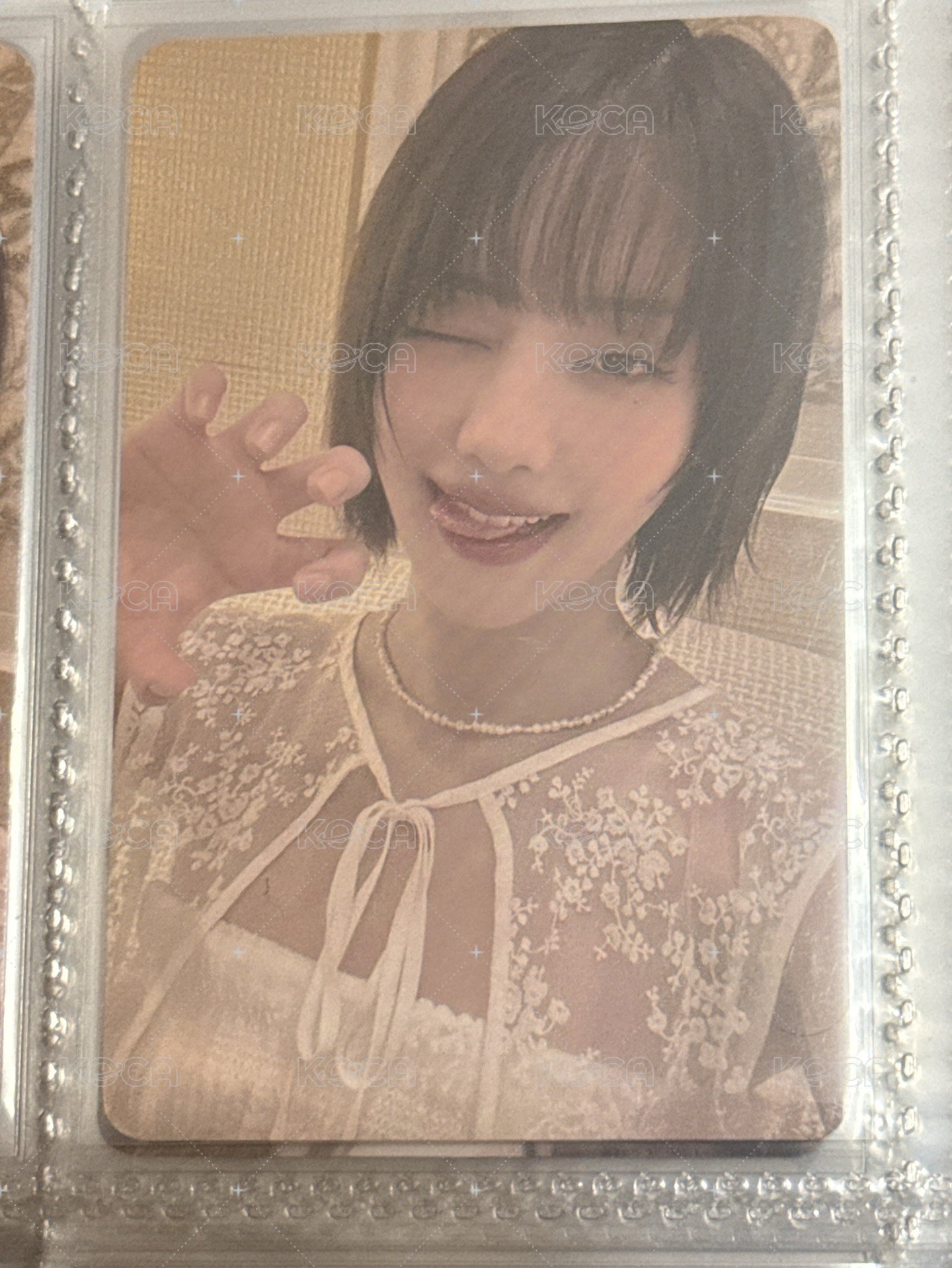 抓貓中背