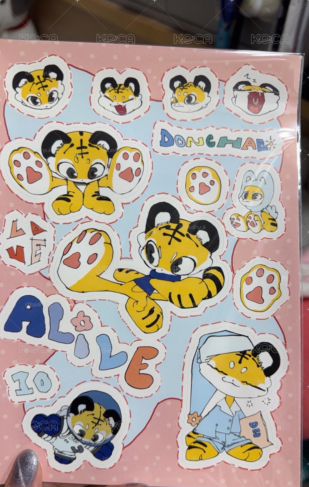 李東海日周老虎貼紙