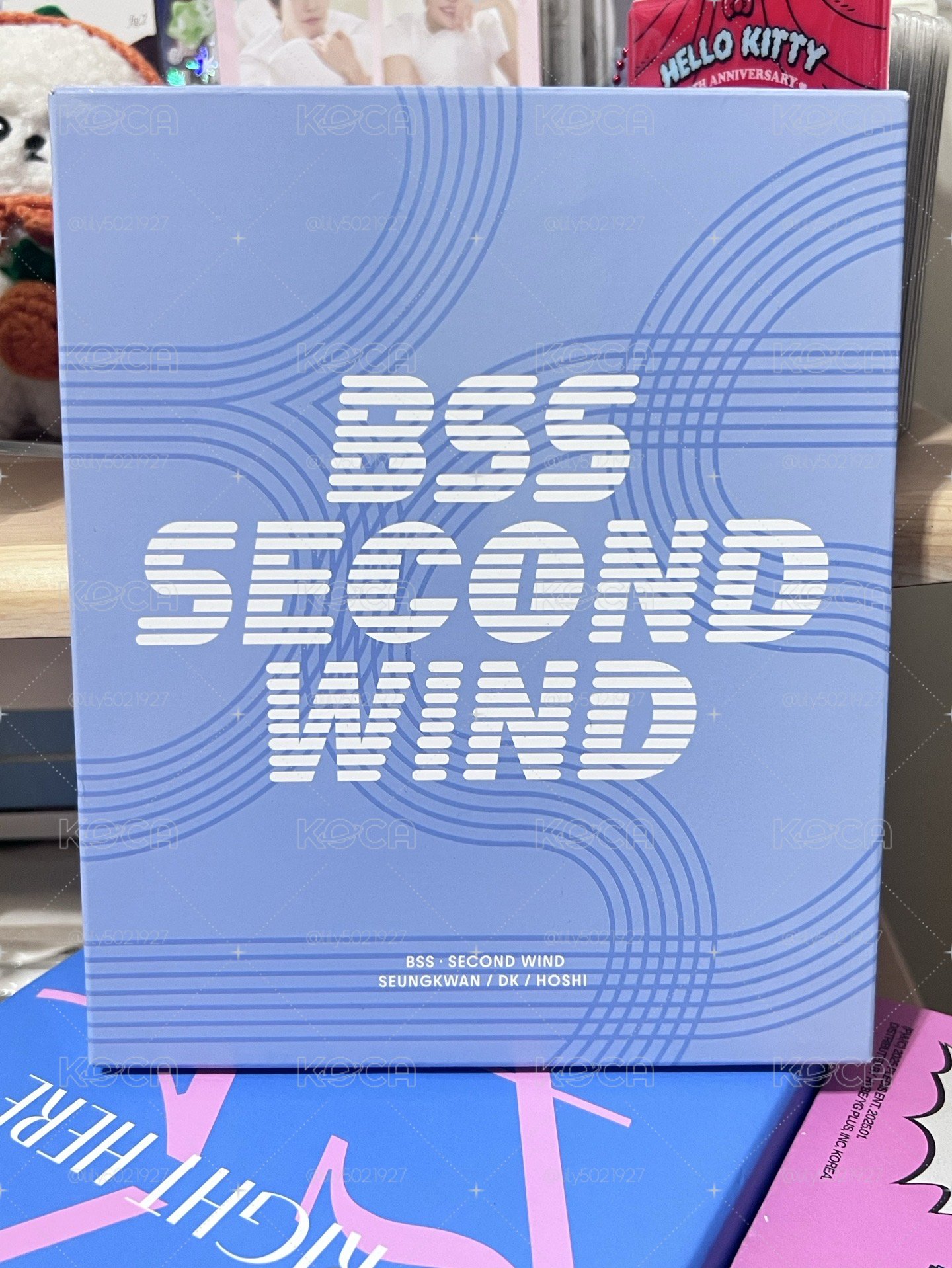 SEVENTEEN BSS夫碩順專