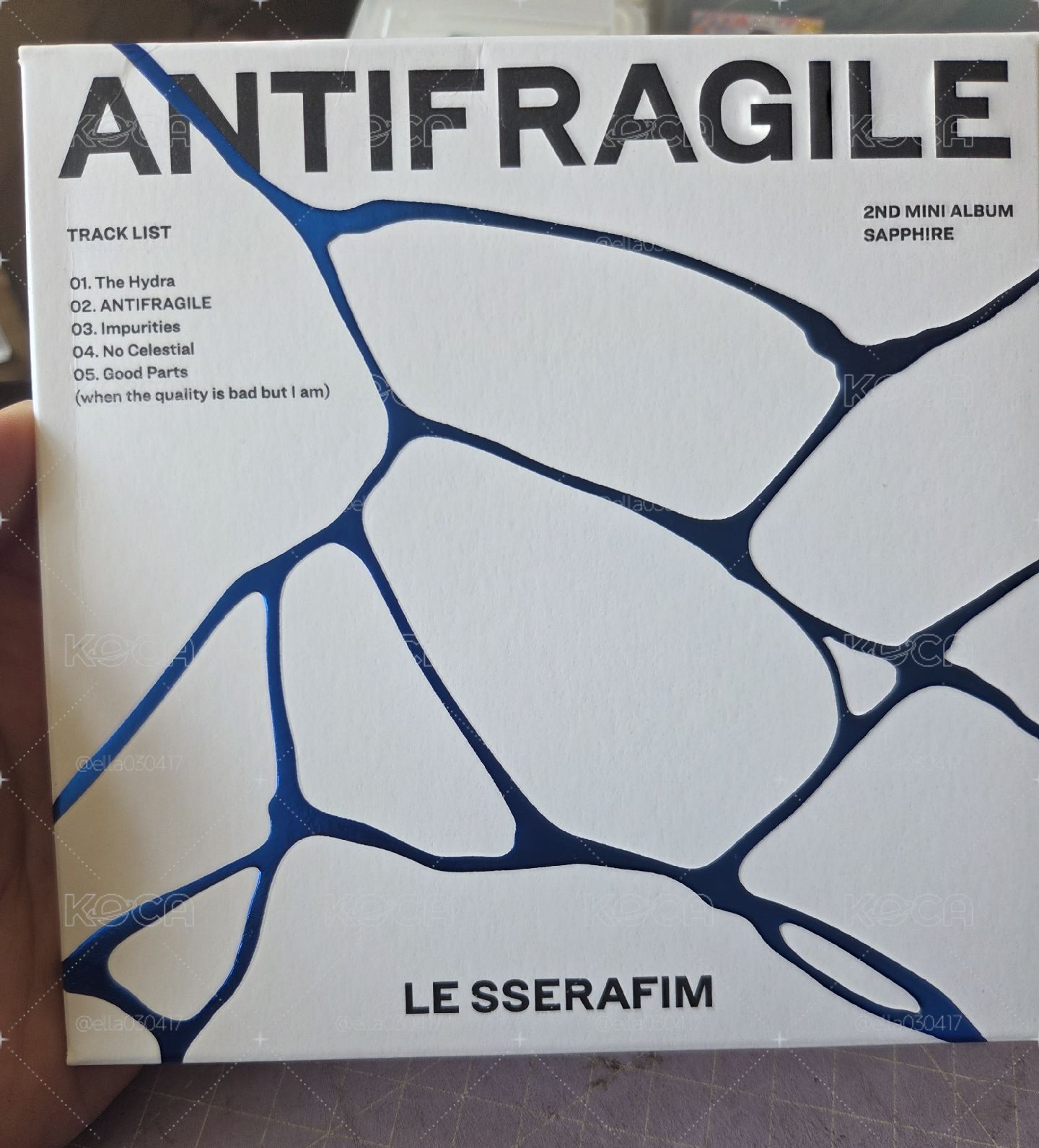 【空專】一葉單封 ANTIFRAGILE 專輯
