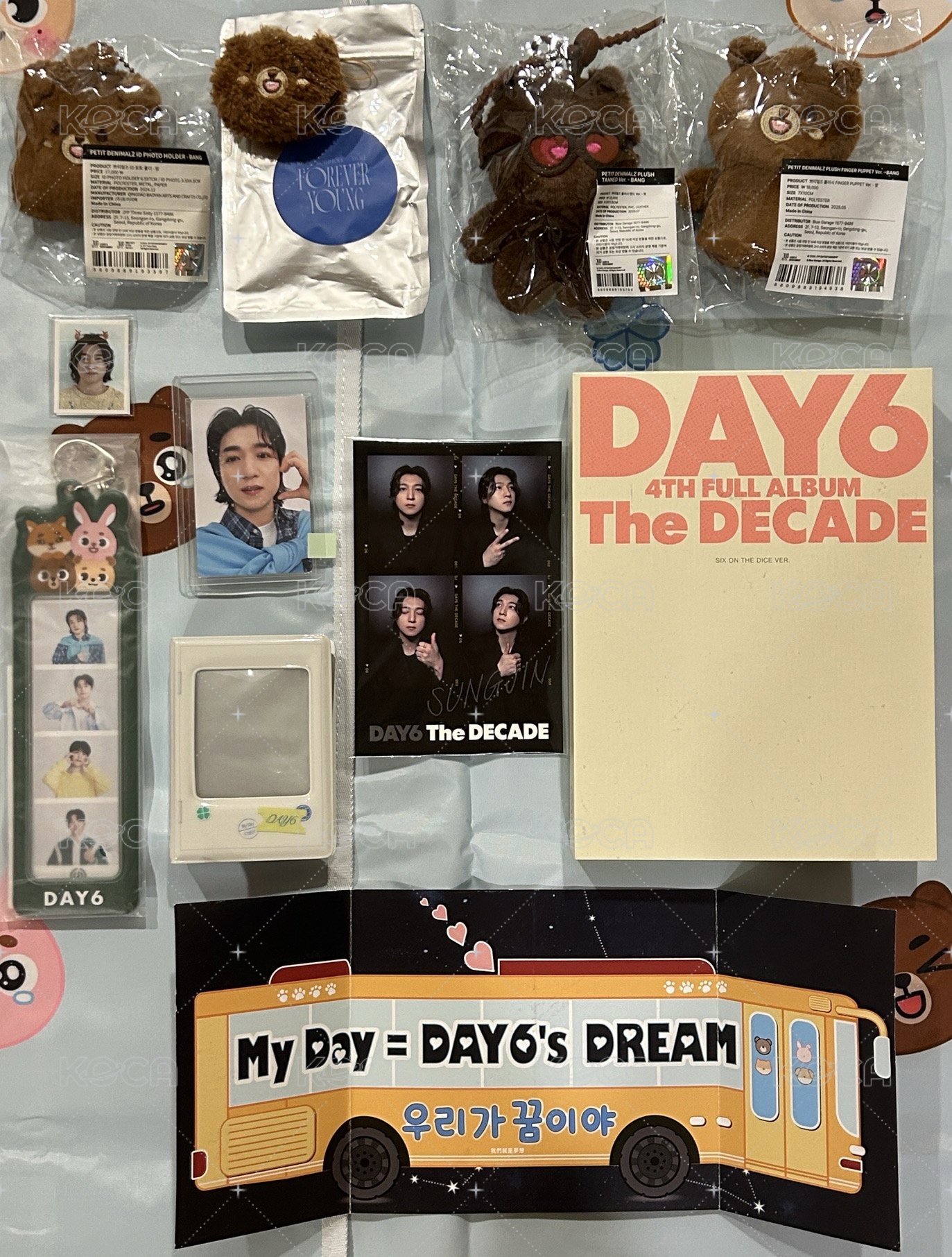 DAY6 🐻盤
