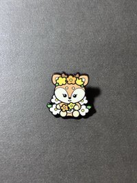 Shua