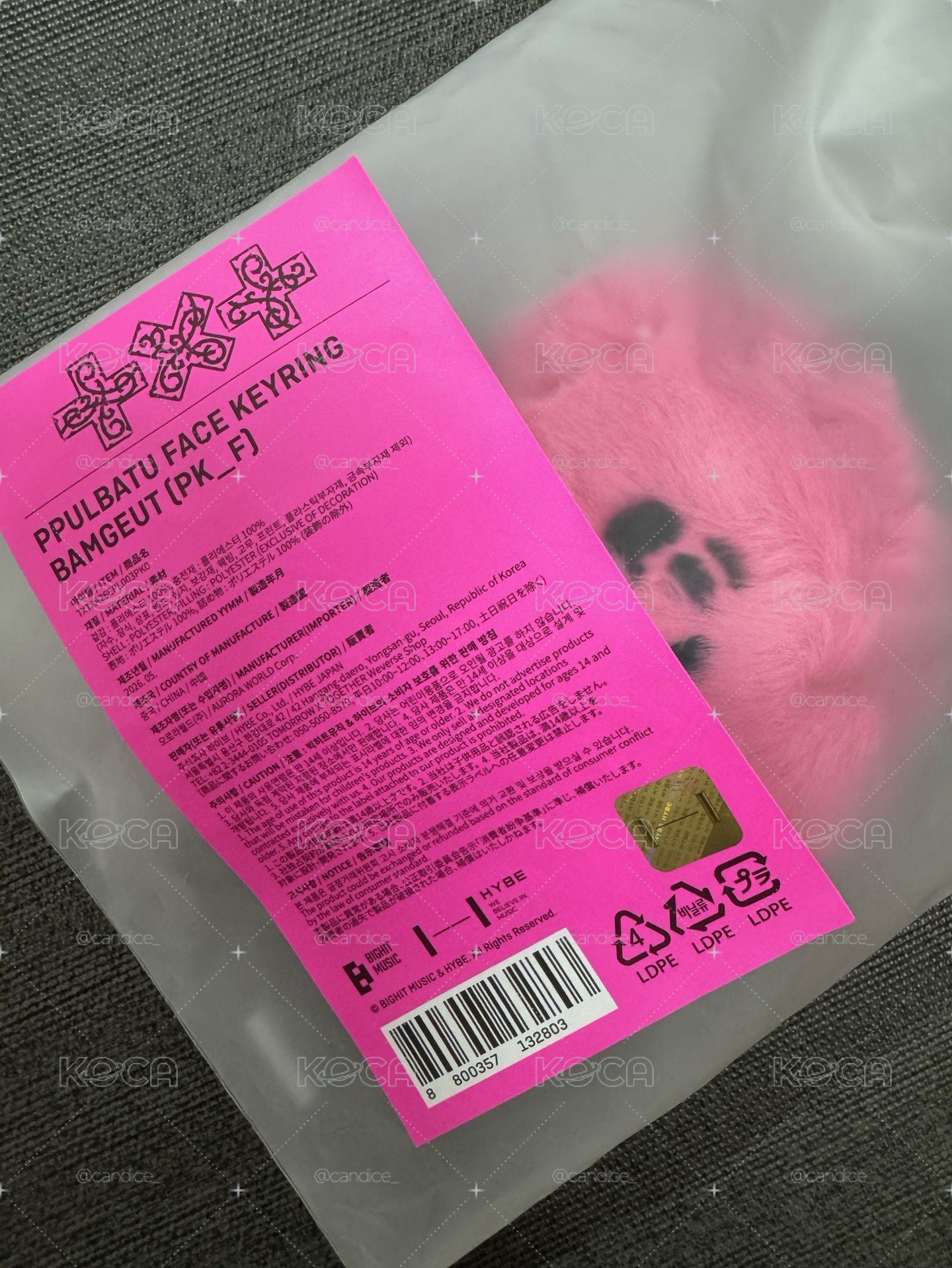 火龍果 喵 嘻