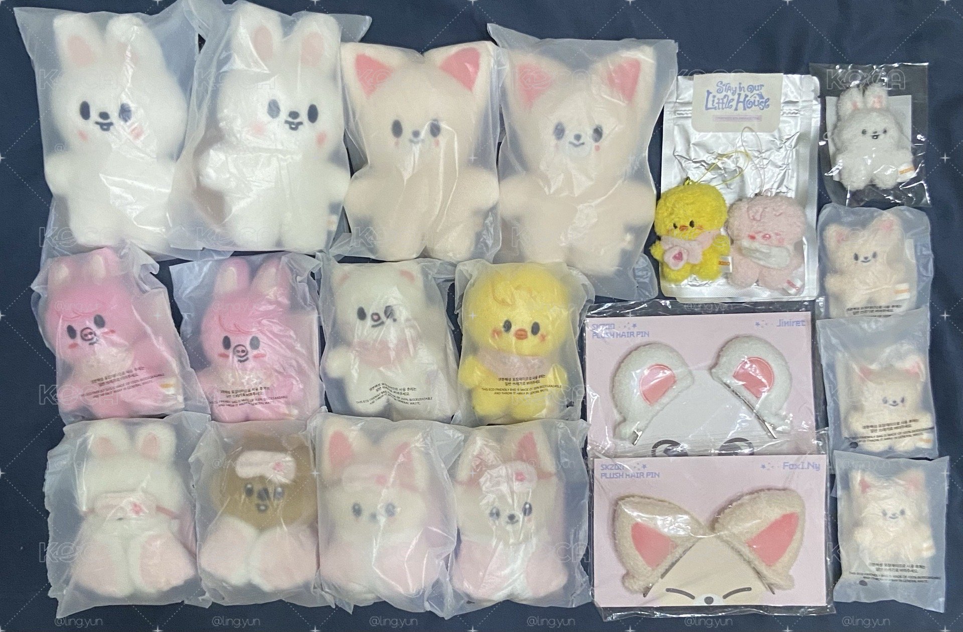 skzoo週邊