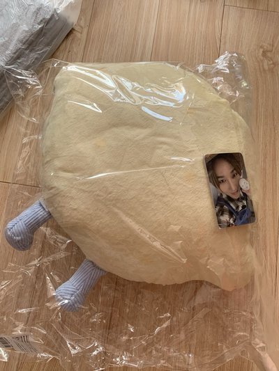 SJ market 藝聲檸檬抱枕