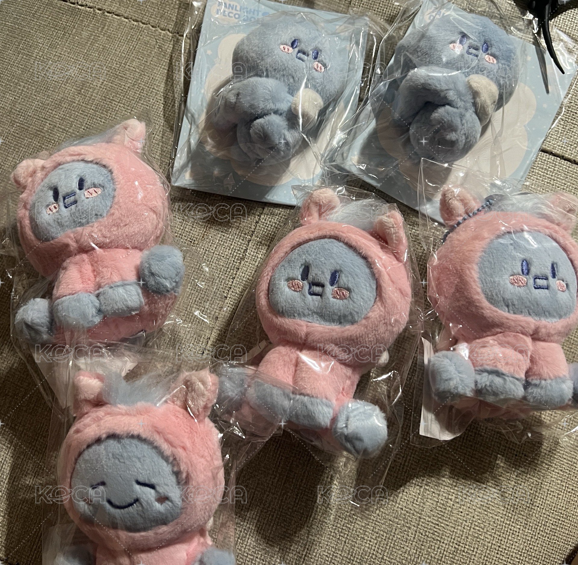 海赤兔馬