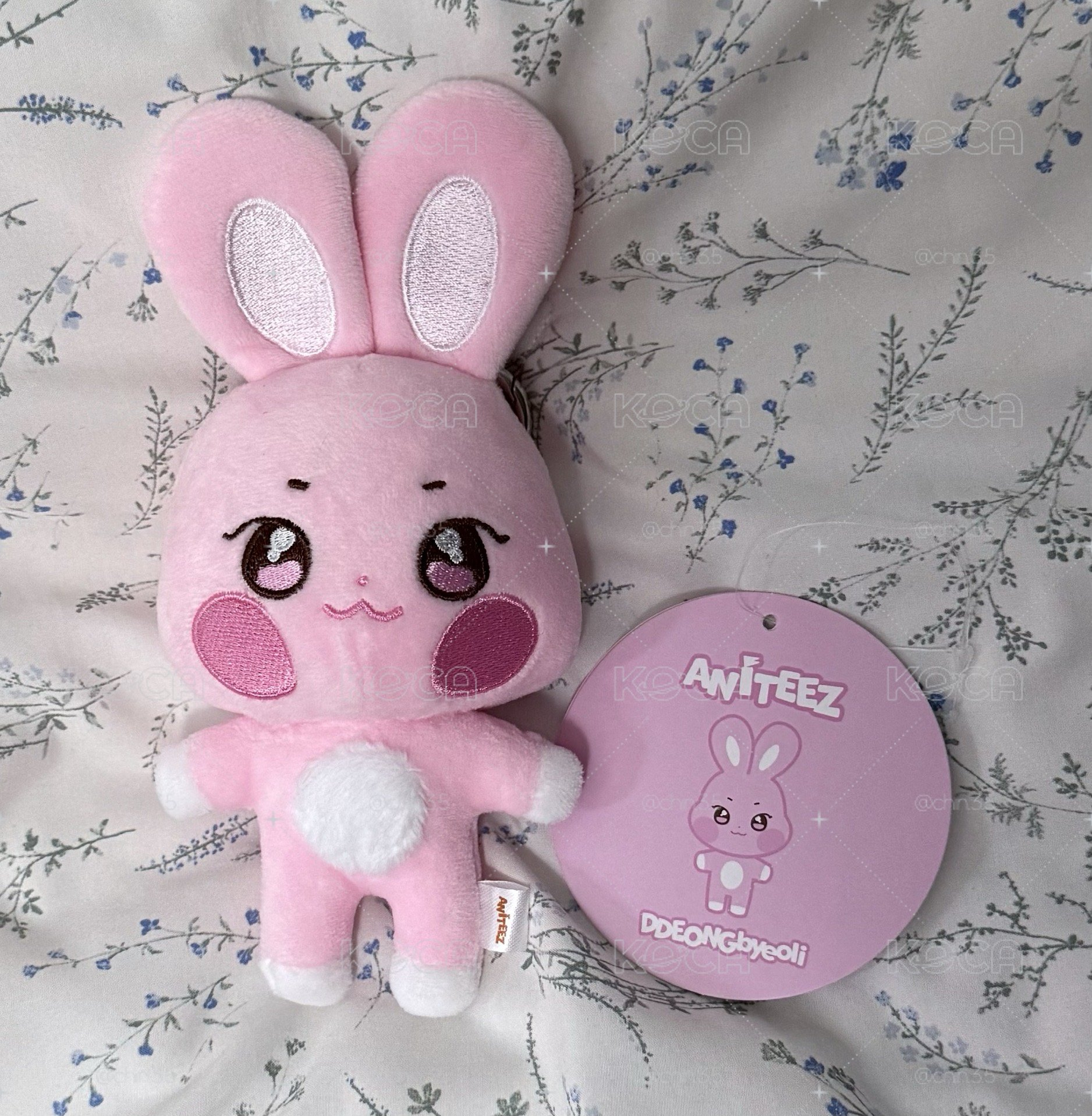 🐰 咚星 原皮 娃