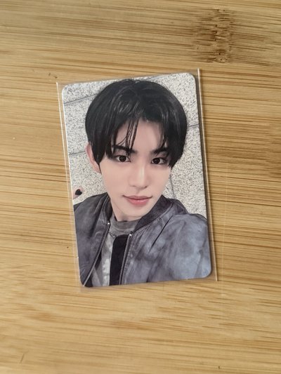 Search image