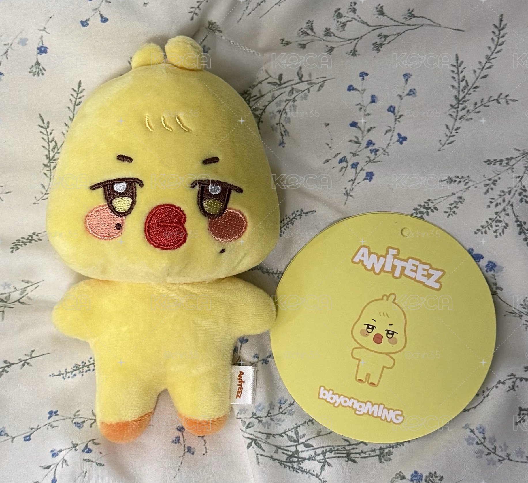 🐥蹦旼 原皮 娃