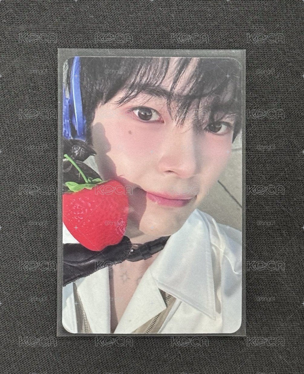 草莓彬🍓
