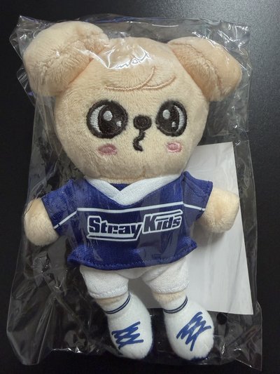 stray kids 日本快閃店 運動吊娃玟 全新未拆 （需綁SKZ小卡$200）
