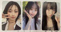 漂漂海源全收