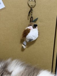 尼爾