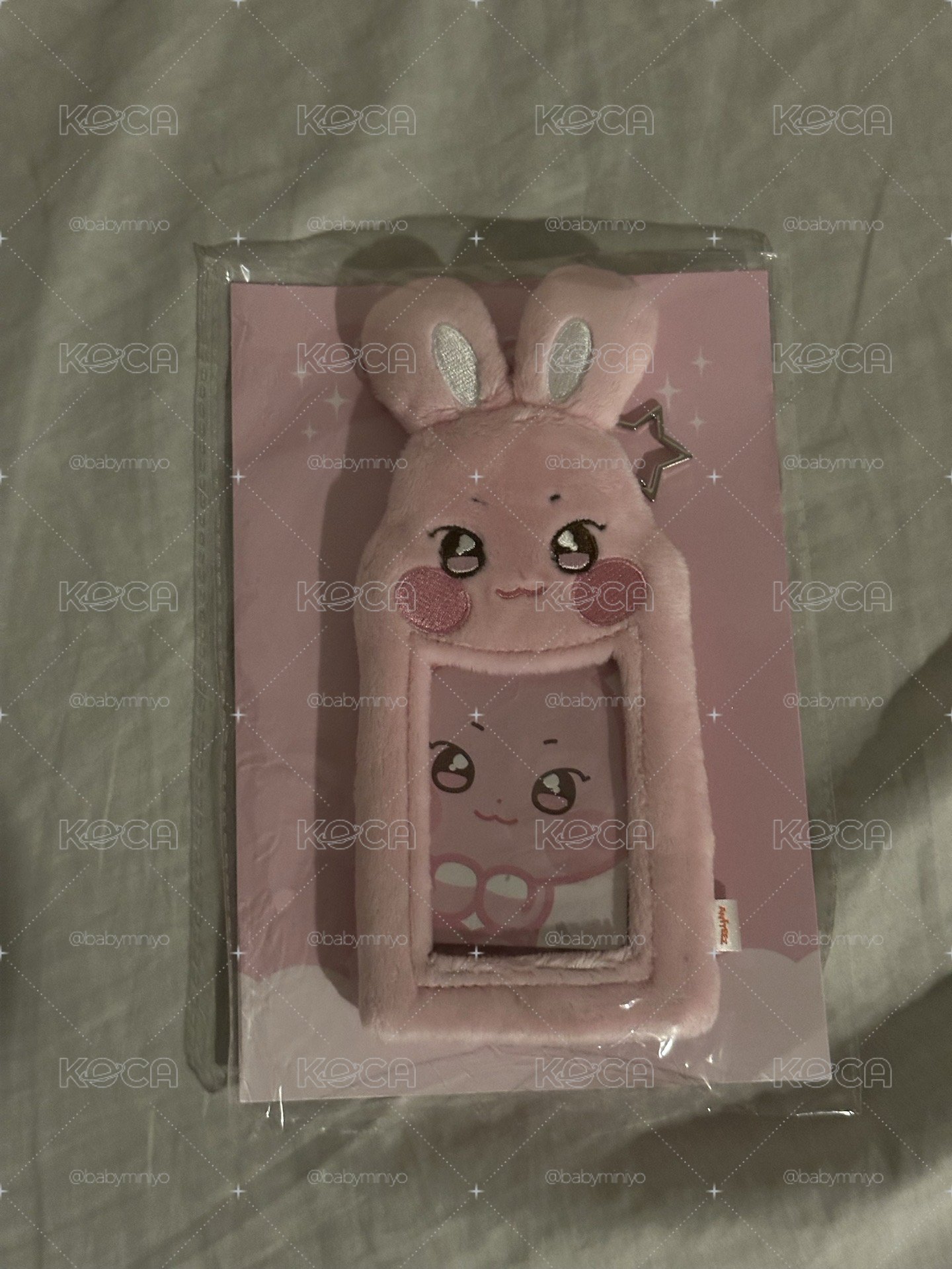 ANITEEZ IN ICE CITY 卡套 (組) PLUSH PHOTOCARD HOLDER KEYRING
