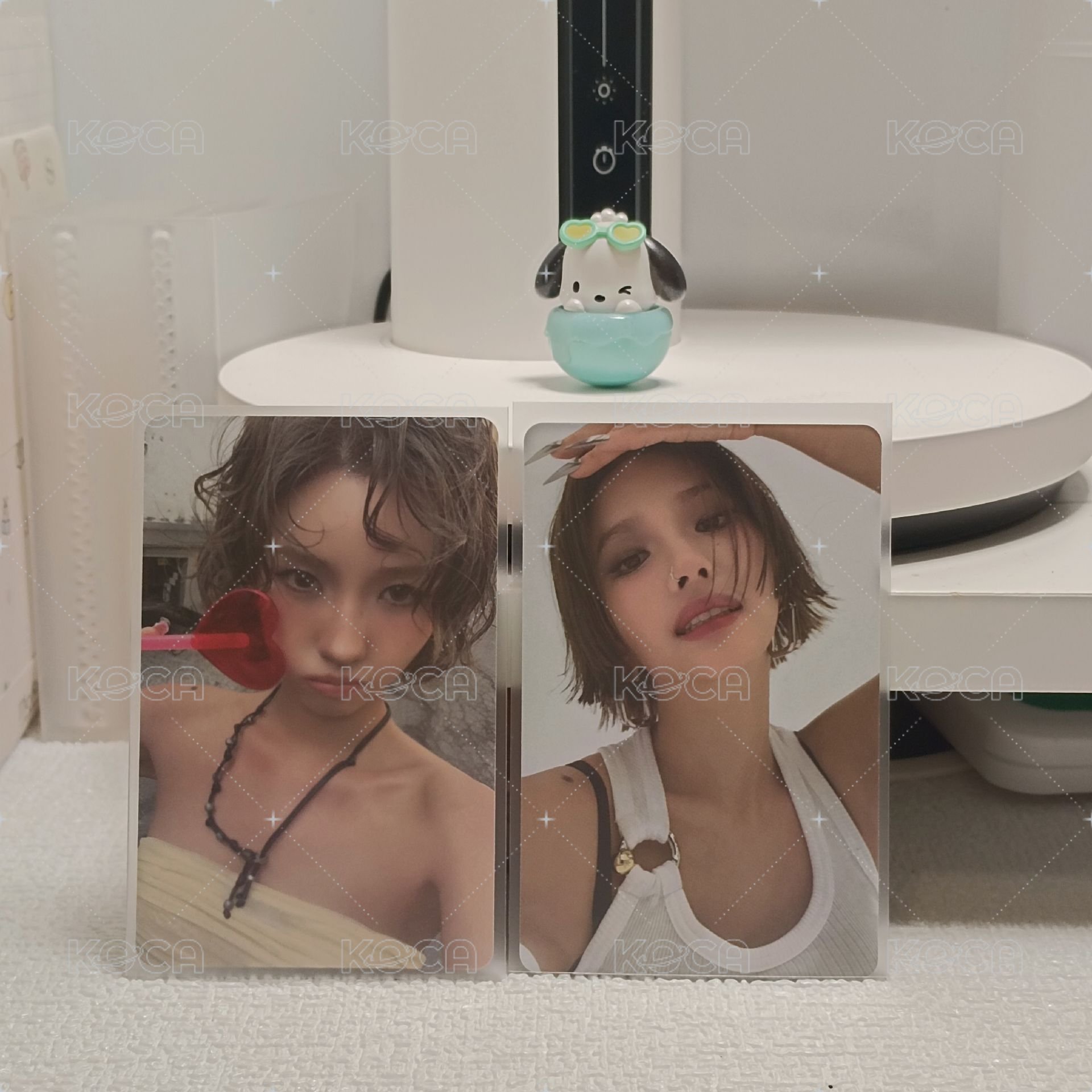 電子專卡+專輯卡