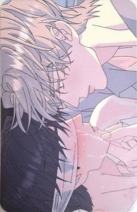 DAYBREAK  韓國場（透卡+小卡）