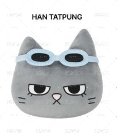HAN TATPUNG抱枕