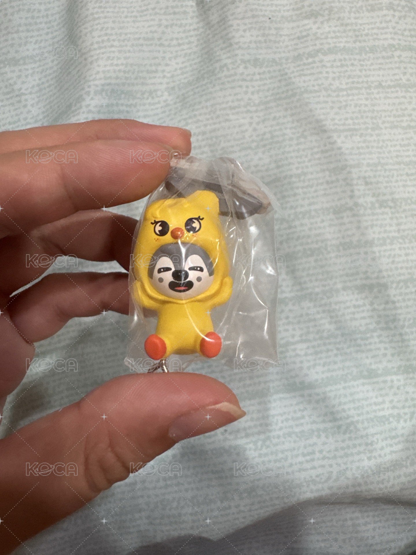 換皮燦