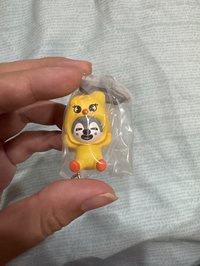 換皮燦