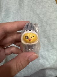 換皮菲