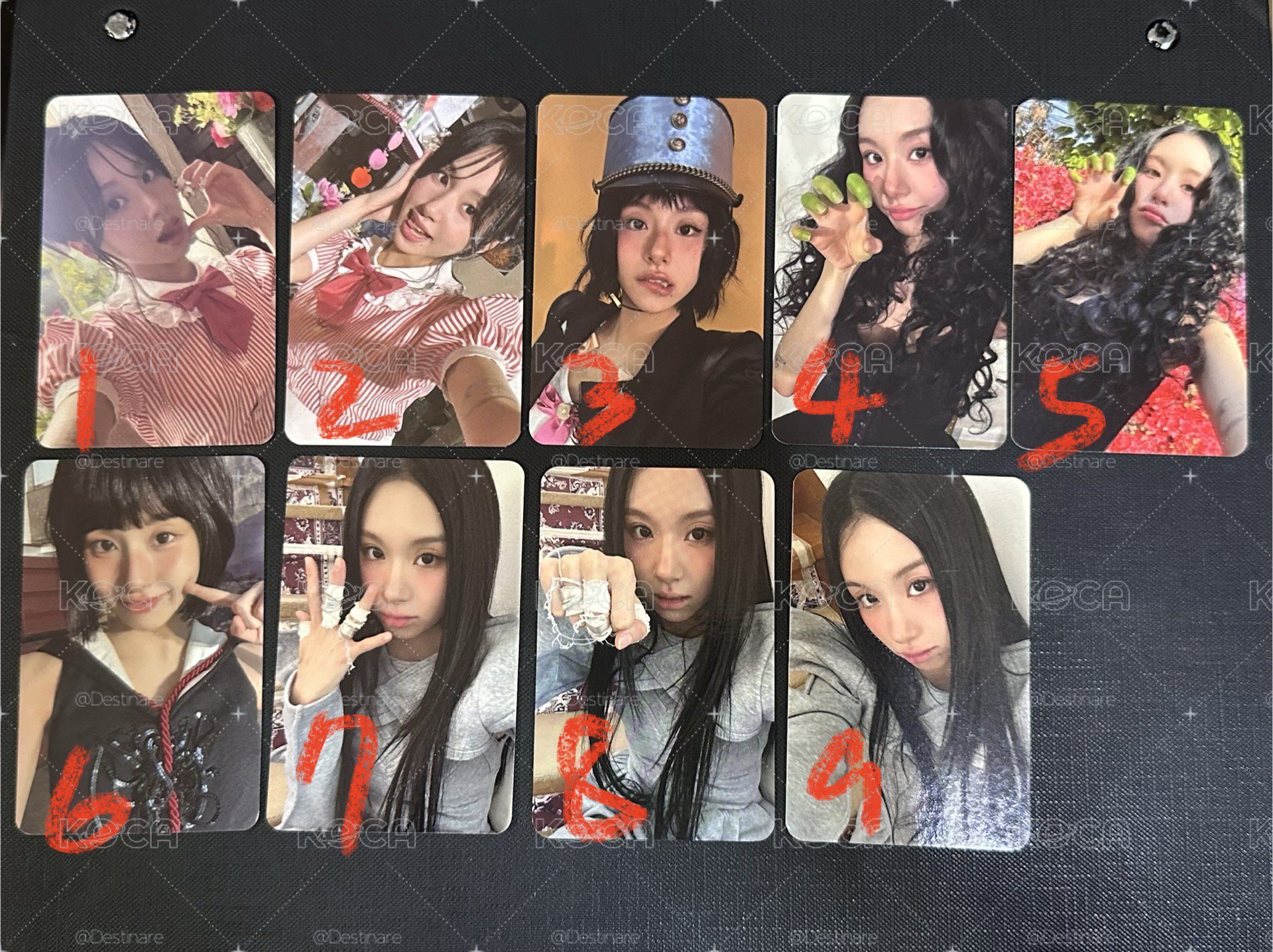 彩瑛solo特典