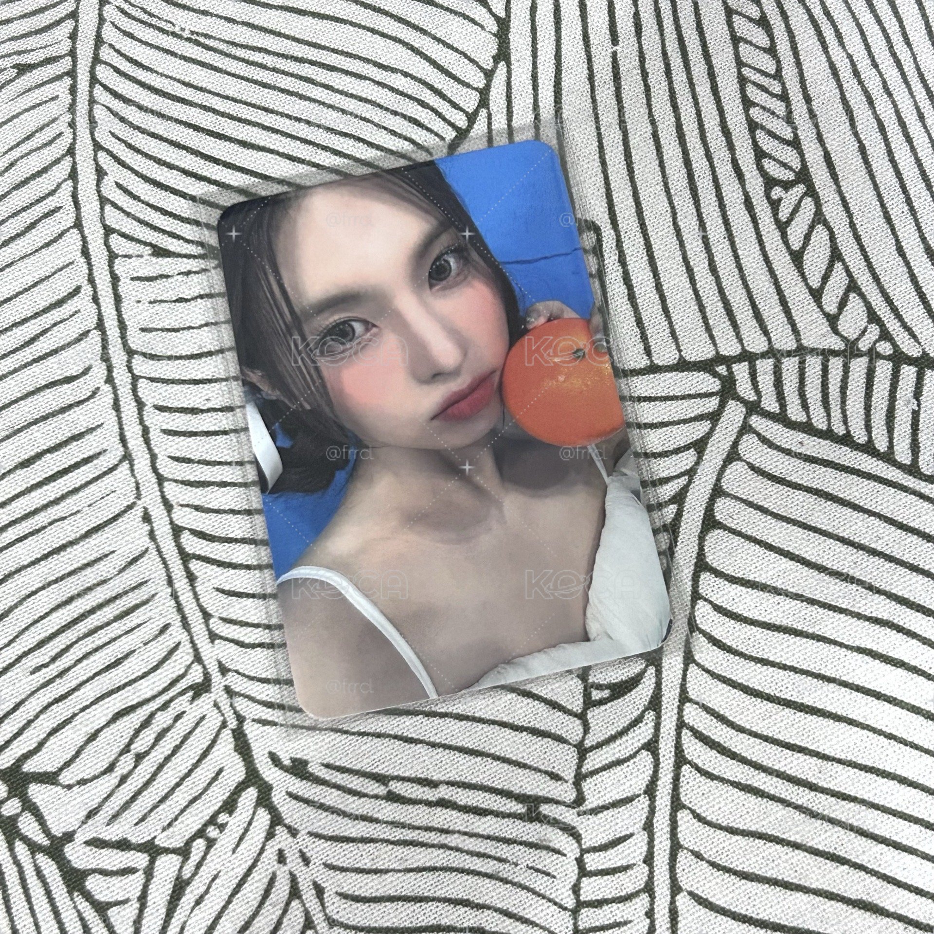 水果裴🍊